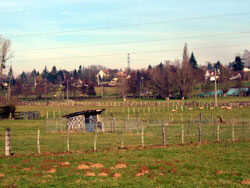 Abords de Chalon
