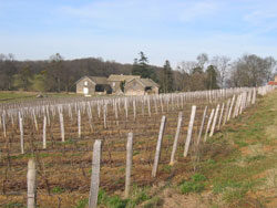 Paysage de Bourgogne